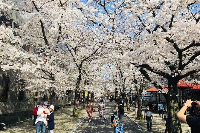kyoto-nishiki-market-food-cultural-walking-tour3