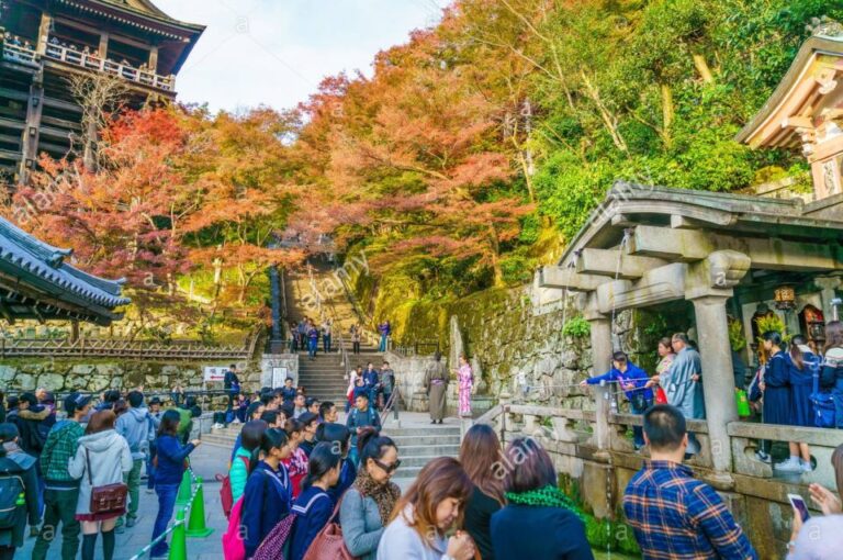 Kyoto: Private Tour With Local Licensed Guide