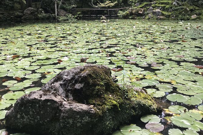 kyoto-zen-garden-zen-mind-private10