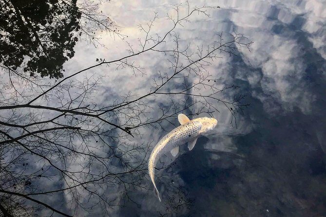 kyoto-zen-garden-zen-mind-private5