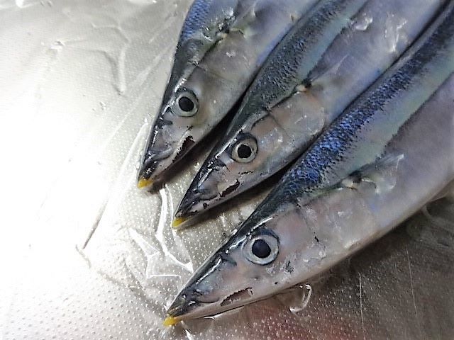 Meguro Sanma Festival