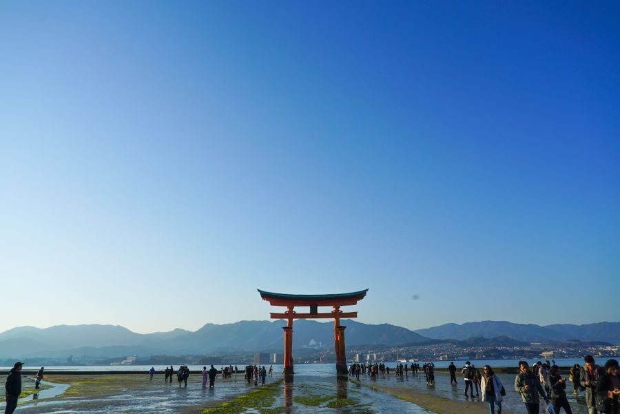 Miyajima Cultural Highlights Walking Tour