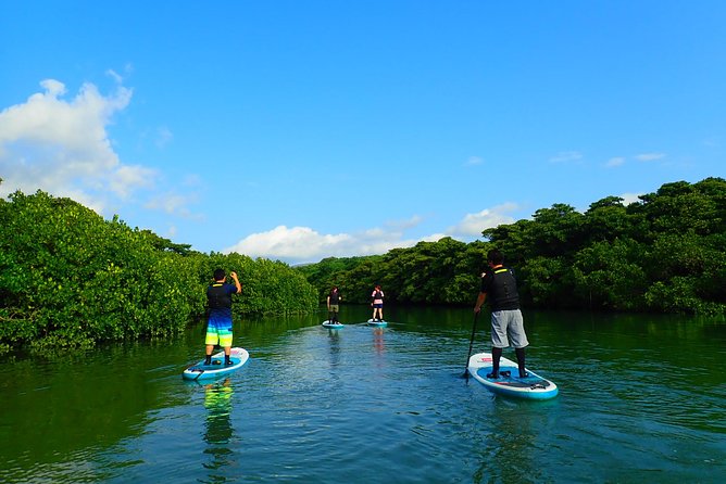 Miyara River 90-Minute Small-Group SUP or Canoe Tour