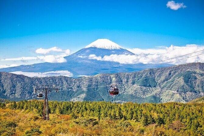 mount-fuji-and-hakone-private-tour-with-english-speaking-guide3