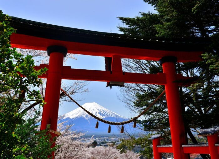 Mount Fuji And Tori
