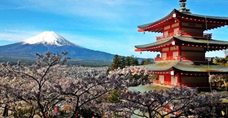Mount Fuji Full Day Private Tour in English Speaking Guide