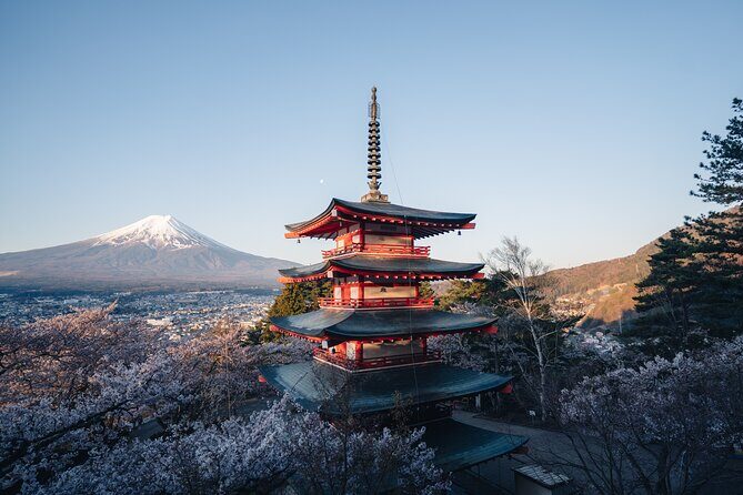 mt-fuji-day-trip-bus-tour-from-tokyo12