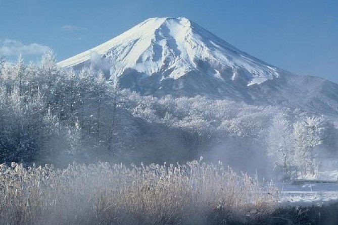 Mt Fuji, Hakone, Lake Ashi Cruise 1 Day Bus Trip From Tokyo - Frequently Asked Questions