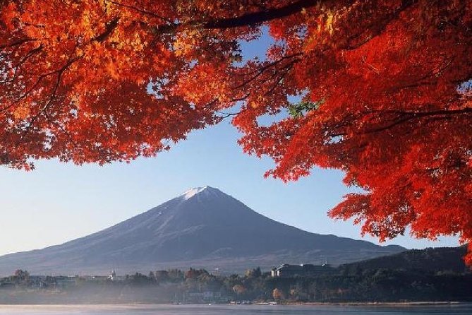 Mt Fuji, Hakone, Lake Ashi Cruise 1 Day Bus Trip From Tokyo - Lunch Options and Taiko Drum Performance