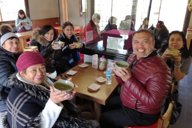 Nagoya Highlights Tour Guided by a Friendly Local