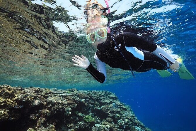 naha-full-day-snorkeling-experience-in-the-kerama-islands-okinawa6