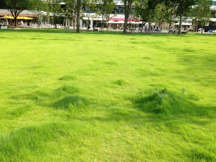 Nakano Shiki No Mori Park