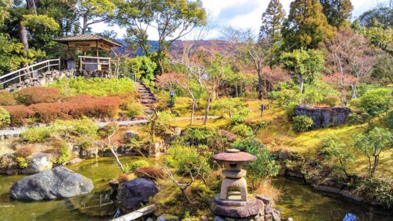 Nara: City Highlights Shared Group or Private Bike Tour