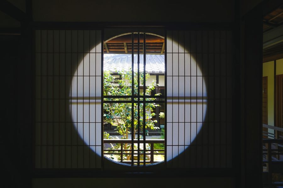 Nara Half Day Trip Walking Tour