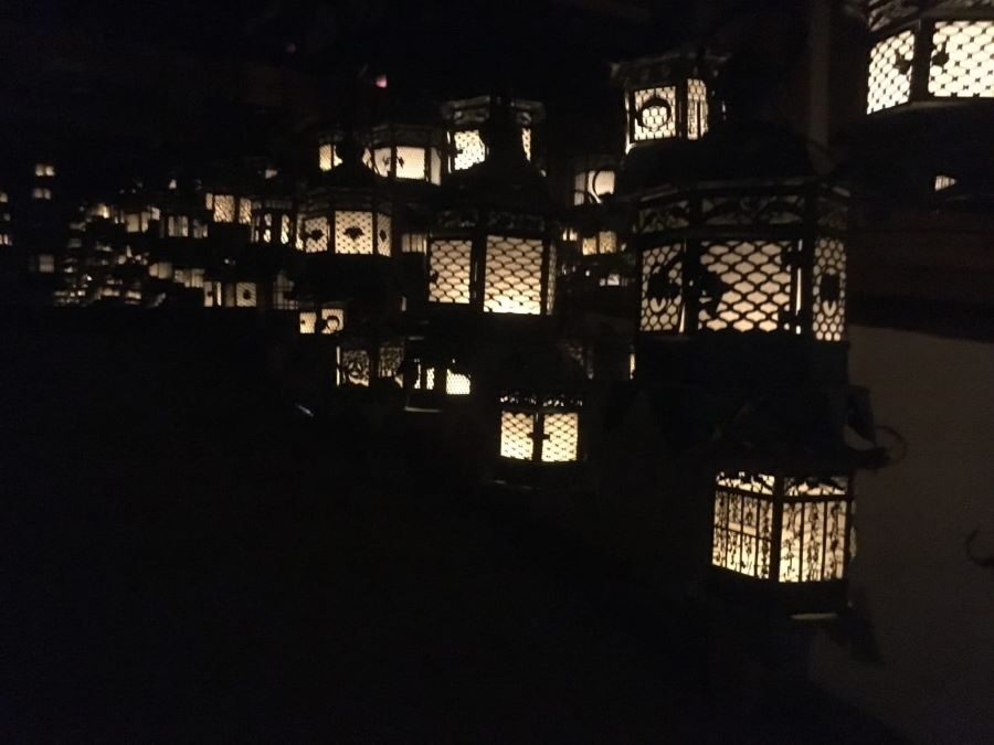 Nara Half Day Trip Walking Tour