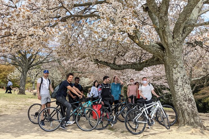 Nara – Heart of Nature Bike Tour