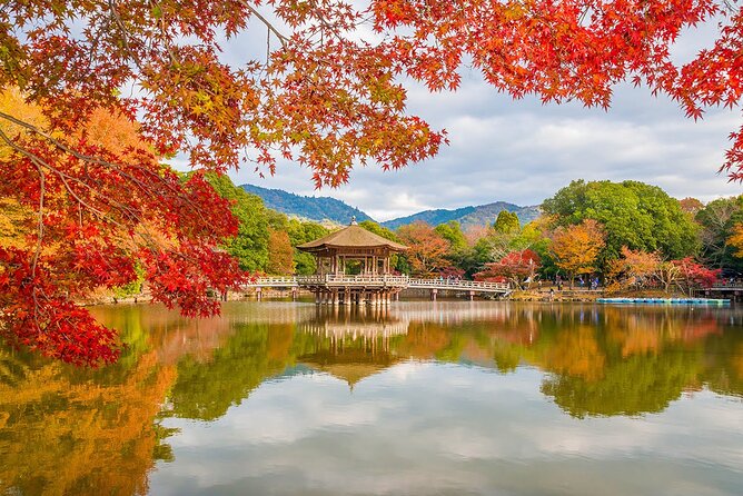 Nara - Highlights Bike Tour - Frequently Asked Questions