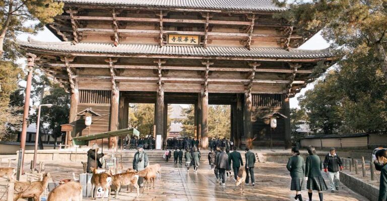Nara Like a Local: Customized Guided Tour