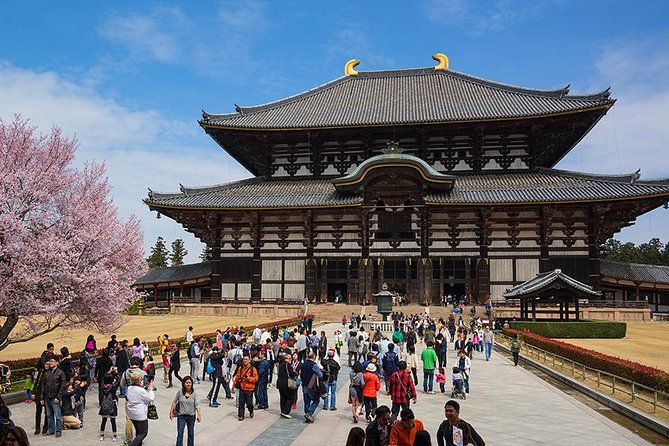 Nara: Private and Personalized Half-Day Tour From Osaka/Kyoto 2023 - Transportation and Transfers: Public Options and Local Taxis