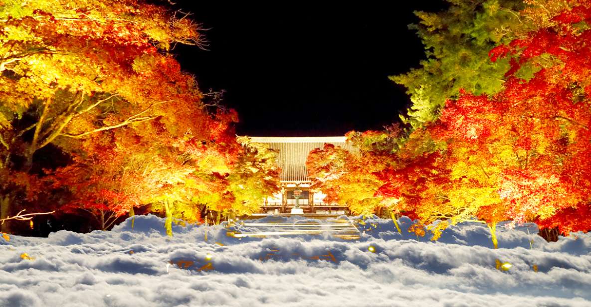 Ninnaji Temple: Special Entry for Unkai Light-up - Quick Takeaways