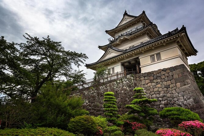 Odawara Castle and Town Guided Discovery Tour