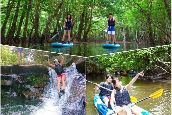 okinawa-iriomote-sup-canoe-tour-at-mangrove-forest2