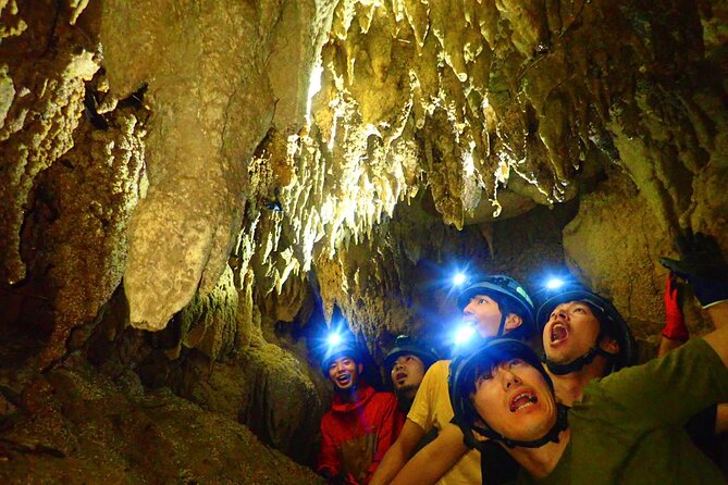 [Okinawa Iriomote] Sup/Canoe Tour at Mangrove & Limestone Cave Exploration - A Must-Do Experience: Sup/Canoe Tour in Iriomotes Mangroves and Limestone Caves