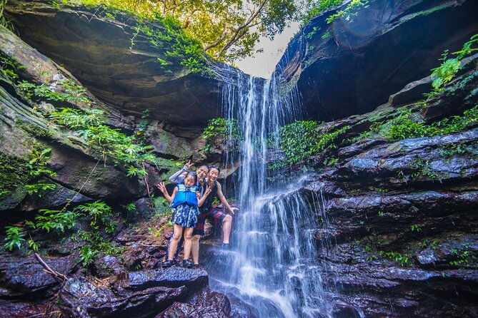 [Okinawa Iriomote] Sup/Canoe Tour at Mangrove & Limestone Cave Exploration - Embarking on a Sup/Canoe Adventure in Okinawas Mangroves