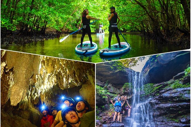 [Okinawa Iriomote] Sup/Canoe Tour at Mangrove & Limestone Cave Exploration - The Beautiful Mangroves of Okinawa Iriomote