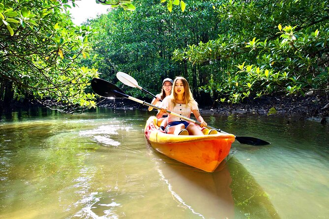 [Okinawa Iriomote] Sup/Canoe Tour at Mangrove & Limestone Cave Exploration - Journeying Through Okinawas Spectacular Limestone Caves