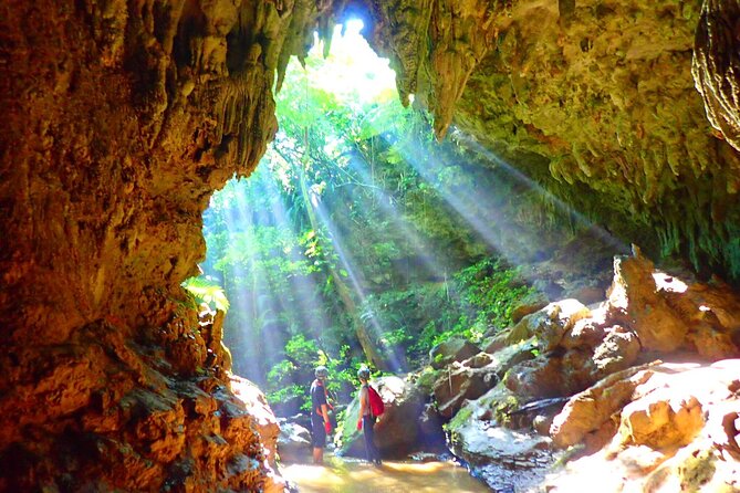 [Okinawa Iriomote] Sup/Canoe Tour at Mangrove & Limestone Cave Exploration - Discover the Natural Wonders of Iriomote Island