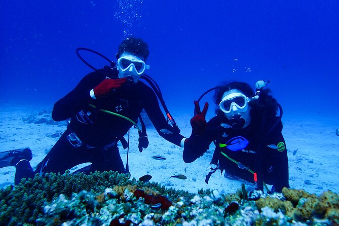 Okinawa: Scuba Diving Tour With Wagyu Lunch and English Guide