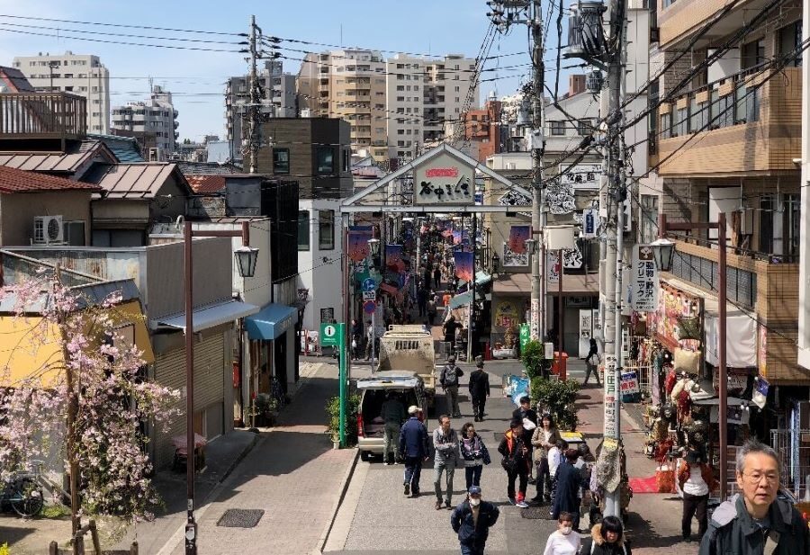 Old Town Tokyo Food Tour Daytime