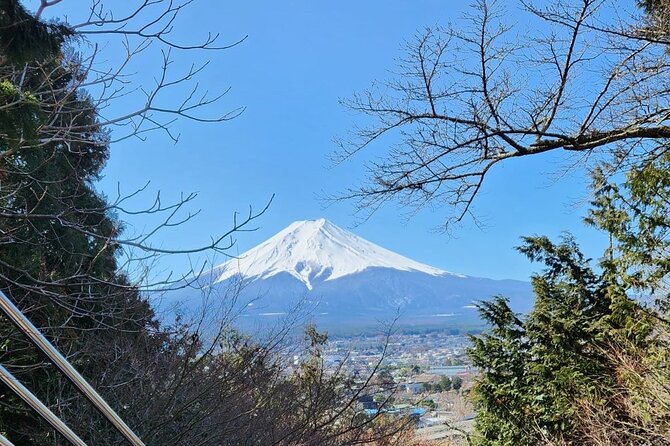 One Day Private Tour to Mount Fuji