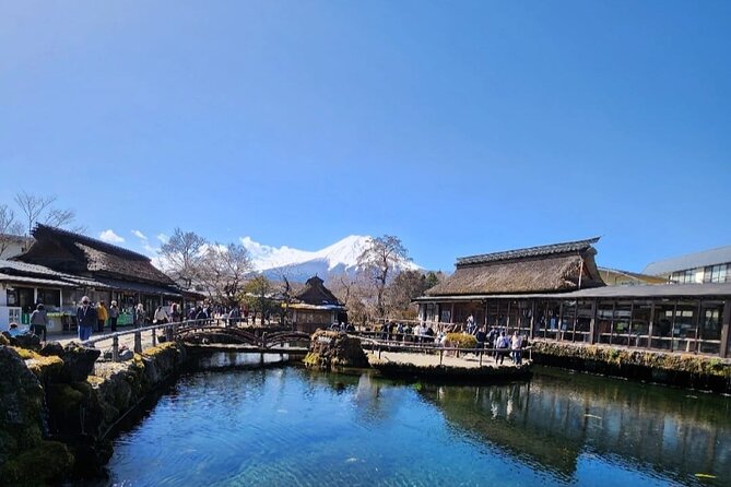 One Day Private Tour to Mount Fuji - Highlights of the Tour