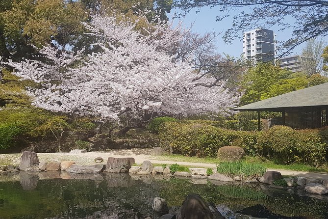 Osaka's Best and Brightest by Private Vehicle - Tranquility and Beauty at Shitenoji Temple