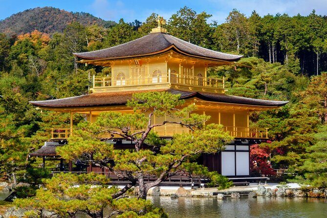 perfect-kyoto-1day-bus-tour5