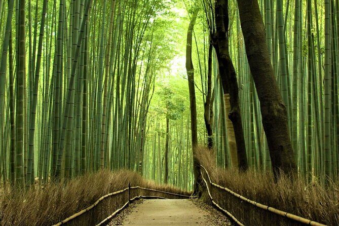 perfect-kyoto-1day-bus-tour9