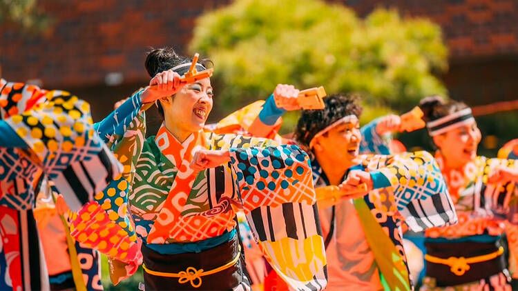 Photo Credit Tachinimi Shitamachi Highball Festival