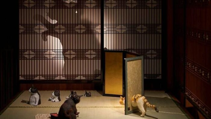 Photo Hotel Gojoen Wa No Akari X Hyakudan Kaidan