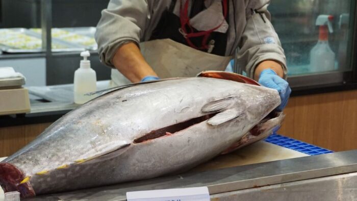 Photo Miura Night Market