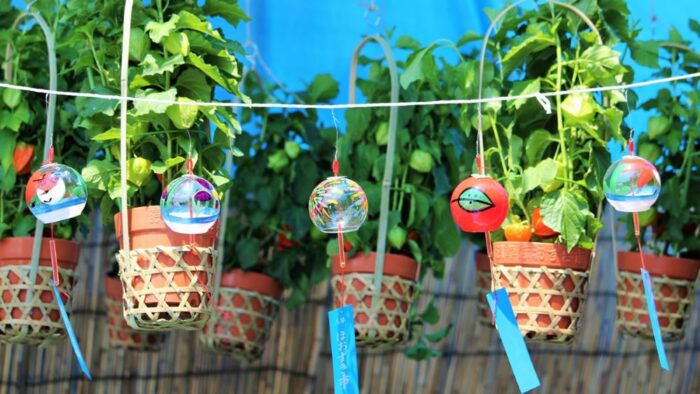 Photo Sensoji Hozuki Market