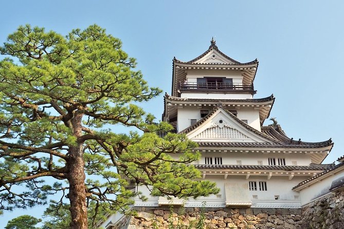 Port Pick-Up: Kochi Tour With Licensed Guide and Vehicle