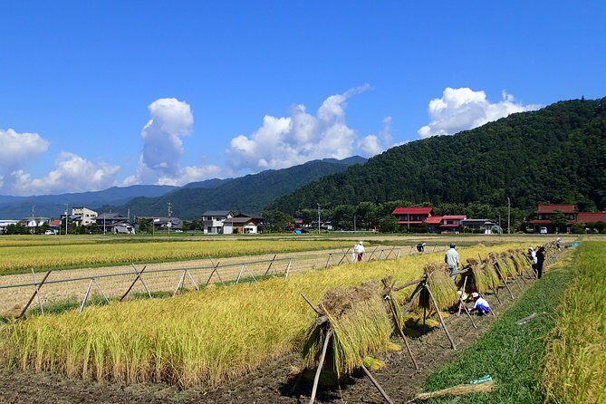 private-afternoon-cycling-tour-in-hida-furukawa10