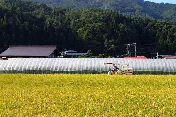 private-afternoon-cycling-tour-in-hida-furukawa9
