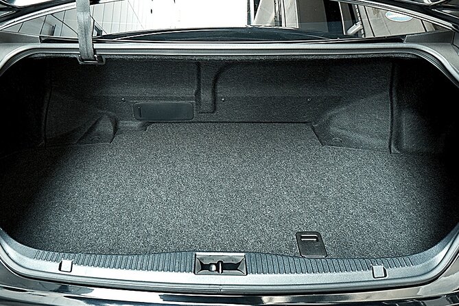 Private Arrival Transfer From Narita Airport(Nrt) to Central Tokyo City - Service Details and Accessibility Information