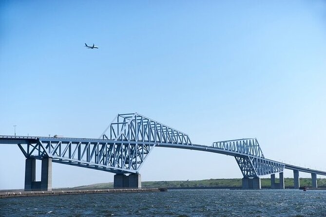 Private Arrival Transfer From Narita Airport(Nrt) to Central Tokyo City - Spotting the Driver and Meeting Point