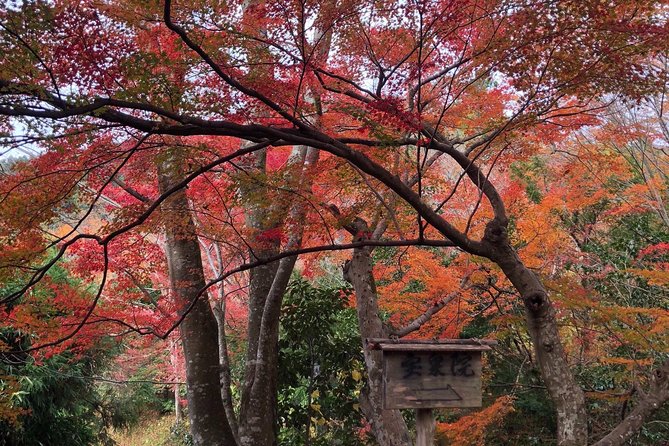 Private Car Tour in Kyoto (Up to 4) - Discovering the Enchanting Gardens of Kyoto