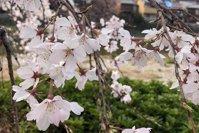 Private Car Tour in Kyoto For Up to 4 People