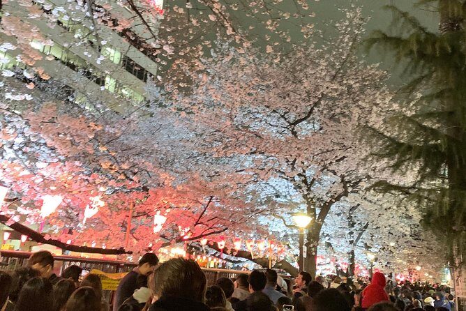 private-custom-tour-tokyo-in-a-day10